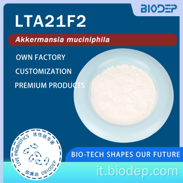 Polvere postbiotica di Akkermansia massiliensis ad elevata purezza (100 miliardi-800 miliardi di AFU/g)